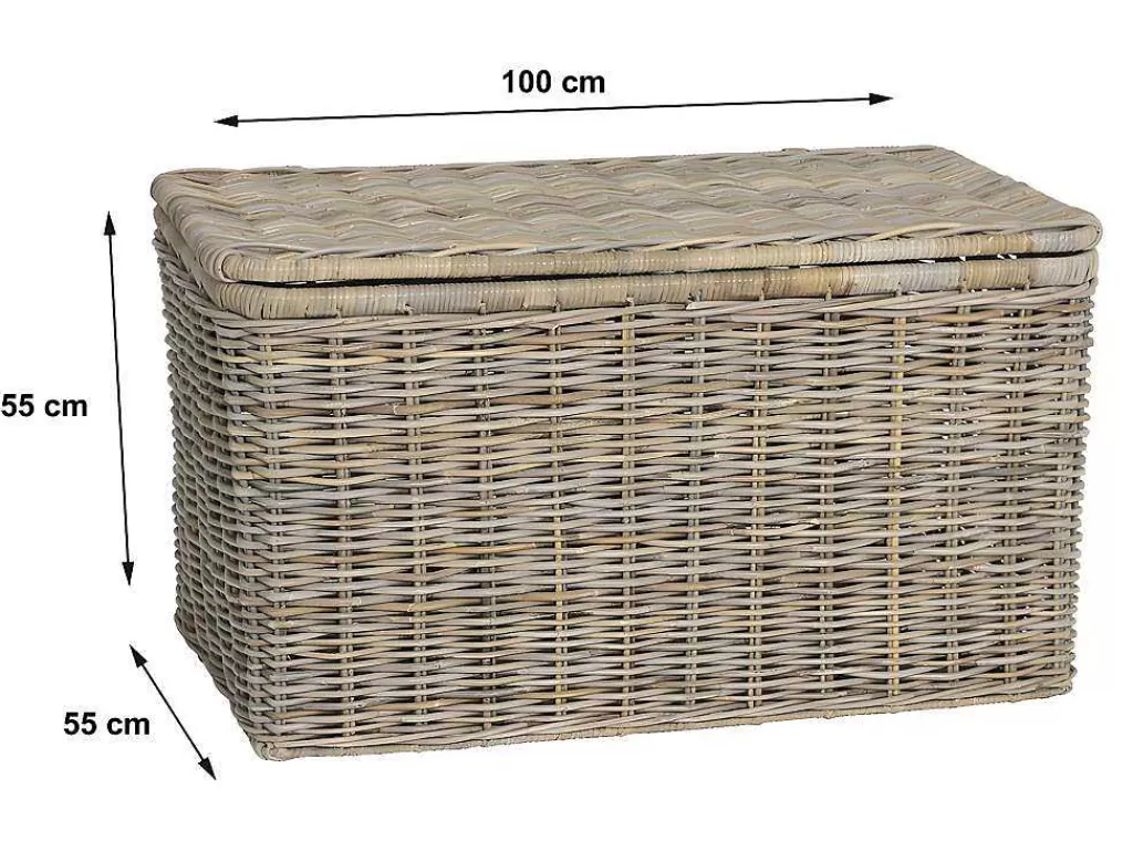 Acessórios De Arrumação*OZAIA Arca De Arrumação Em Kubu De C100 X L55 X A55 Cm Cor Cinza Natural - Timgad