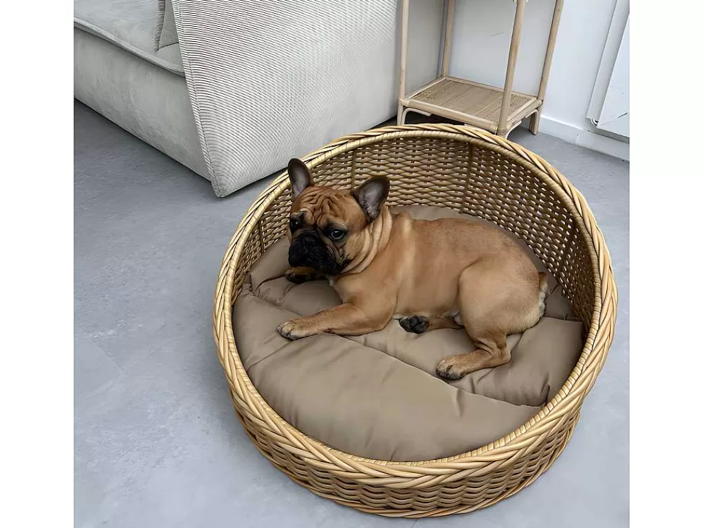 Acessórios Para Animais De Estimação*Vente-unique Cesto Para Animais Em Resina Com Almofada, Interior Ou Exterior, D71 X A37 Cm, Natural E Castanho - Zalio