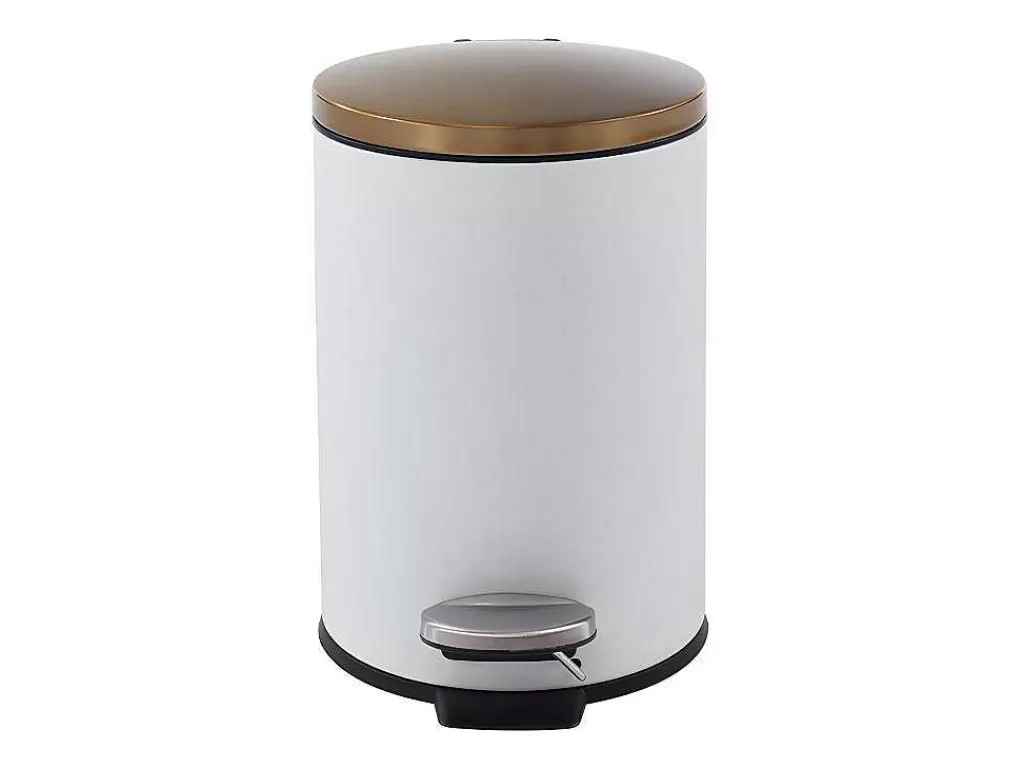 Acessórios E Arrumação De Cozinha*OZAIA Conjunto De 2 Caixotes Do Lixo Com Pedal Em Inox De 30 L E 3 L Cor Branco E Dourado - Pira