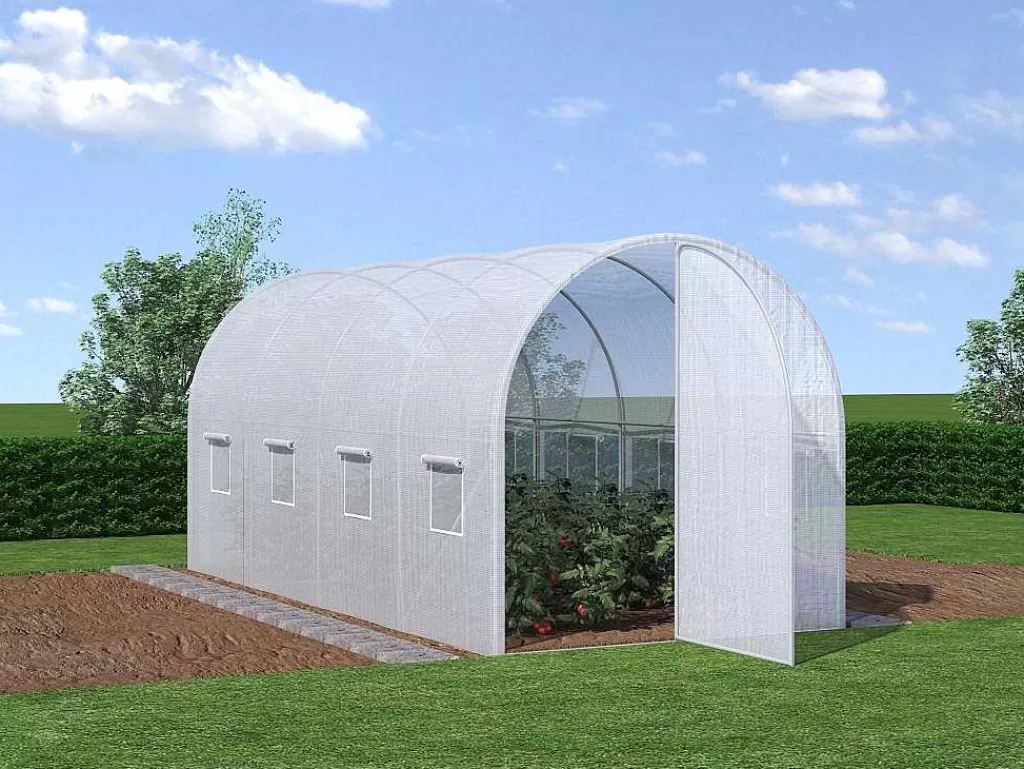 Estufas De Jardim*EXPERTLAND Estufa Tunel Com Estrutura Em Aco Galvanizado E Porta De 9 M , C450 X L200 X A200 Cm - Alocasia