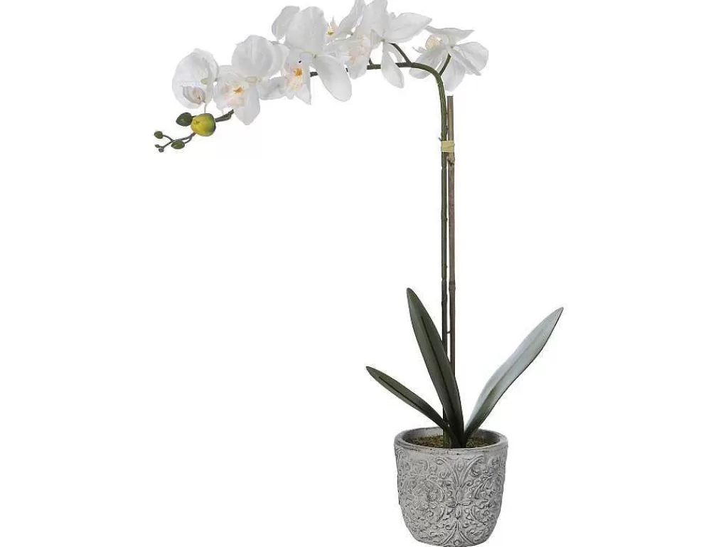 Planta Artificial*OZAIA Planta Artificial Orquidea Com Vaso Em Cimento A.60 Branco - Flora
