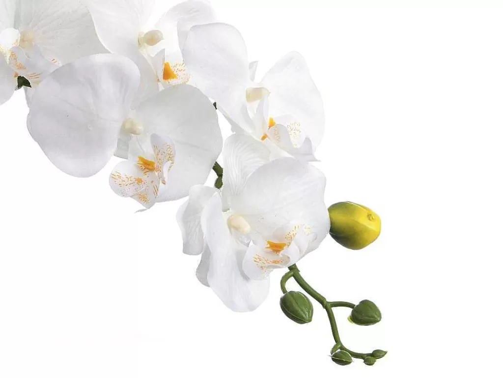 Planta Artificial*OZAIA Planta Artificial Orquidea Com Vaso Em Cimento A.60 Branco - Flora