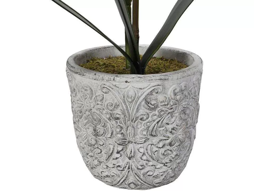 Planta Artificial*OZAIA Planta Artificial Orquidea Com Vaso Em Cimento A.60 Branco - Flora