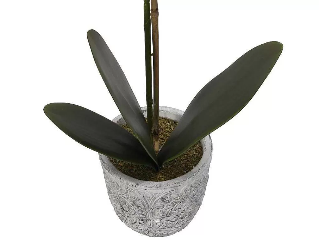 Planta Artificial*OZAIA Planta Artificial Orquidea Com Vaso Em Cimento A.60 Branco - Flora