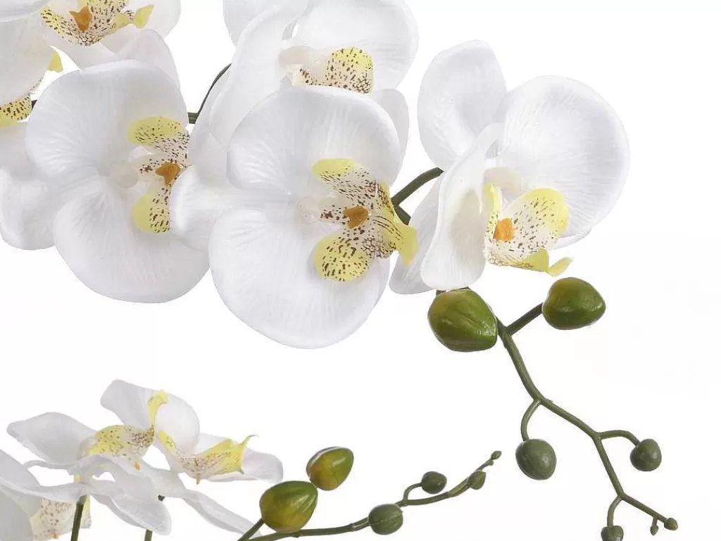 Planta Artificial*OZAIA Planta Artificial Orquidea Com Vaso Em Cimento A.65 X L.54 Cm Branco - Tara