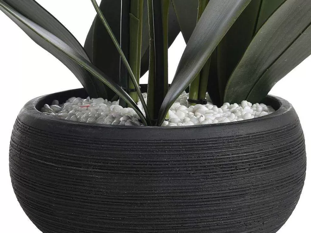 Planta Artificial*OZAIA Planta Artificial Orquidea Com Vaso Em Cimento A.65 X L.54 Cm Branco - Tara
