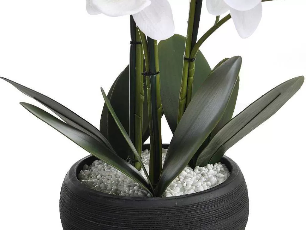 Planta Artificial*OZAIA Planta Artificial Orquidea Com Vaso Em Cimento A.65 X L.54 Cm Branco - Tara