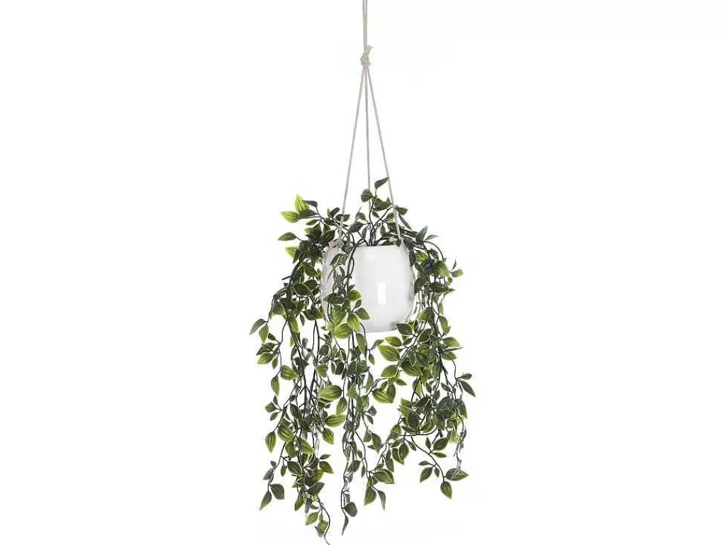 Planta Artificial*OZAIA Planta Artificial Pendente Com Vaso Em Ceramica A.70 X L.20 Cm Verde - Bahiana