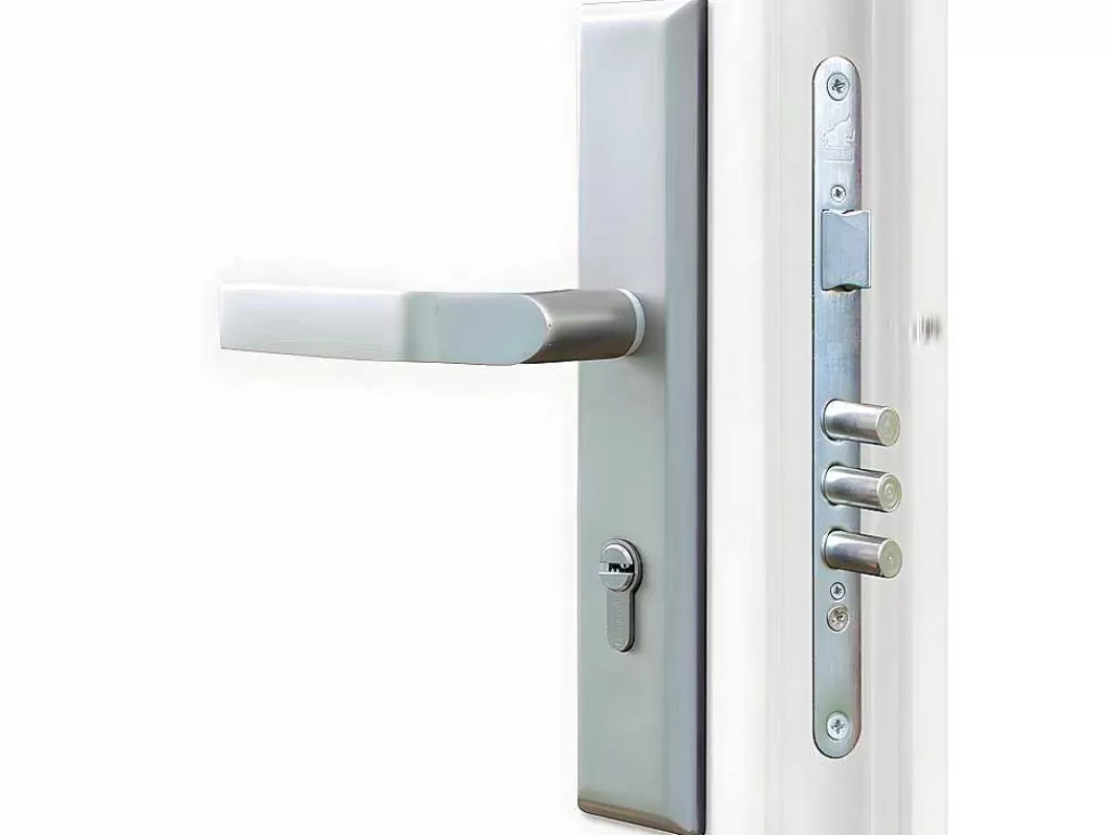 Porta De Entrada*Vente-unique Porta De Entrada Em Aco Envidracado Com Inox A207 X L100 Cm Antracite, Abertura Para A Esquerda - Tifana