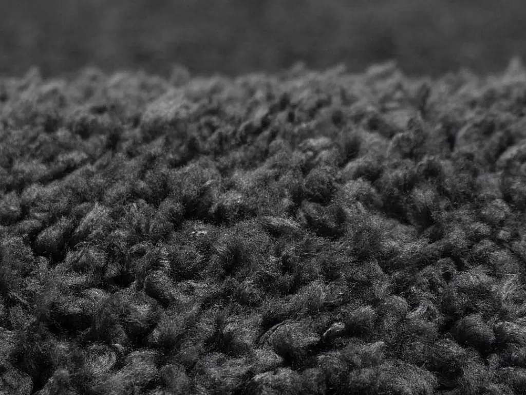Tapete De Sala*OZAIA Tapete Felpudo De Pelos Compridos 200 X 300 Cm Antracite - Milinio